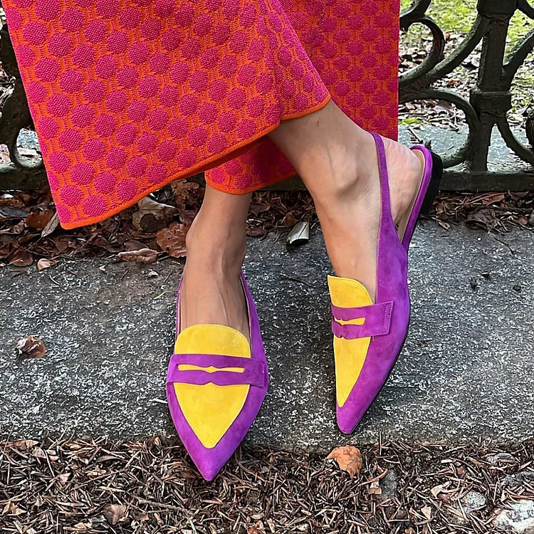 Zehenabschluss Colorblock Spitz Matt Vintage Slingback Ballerinas