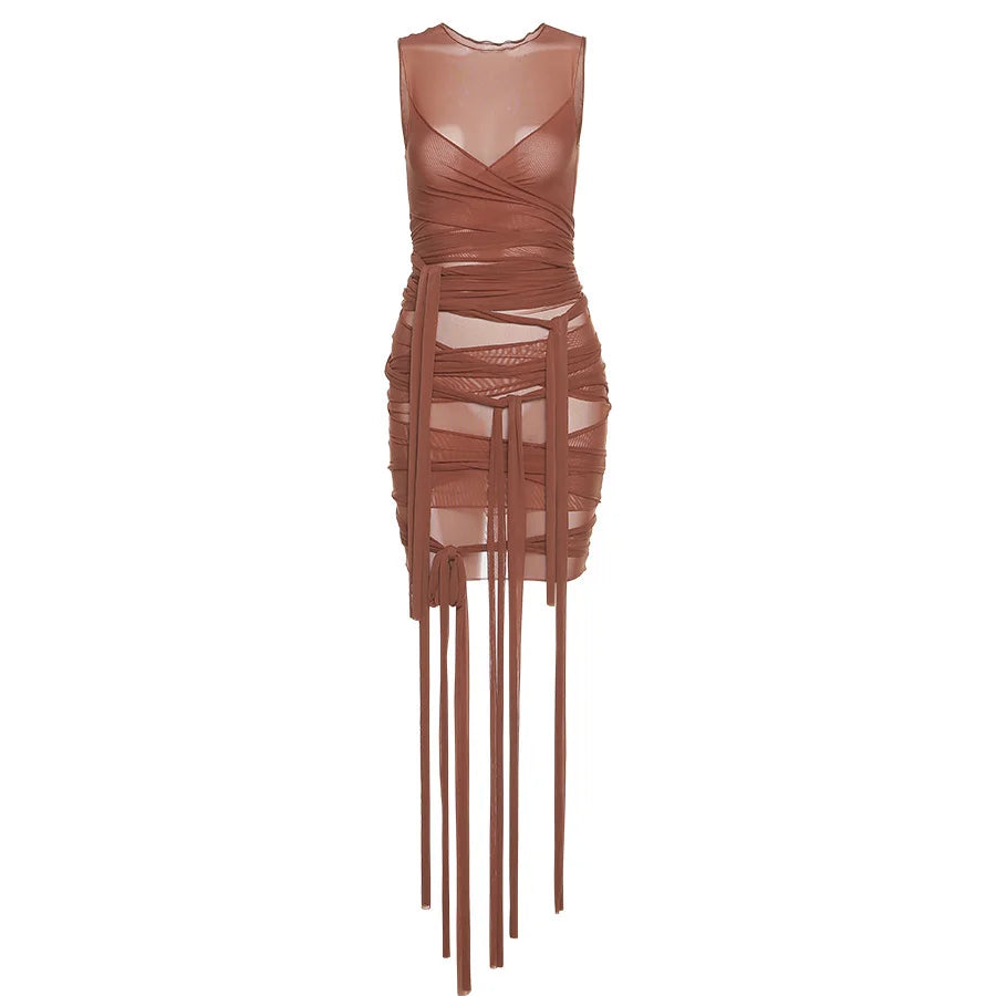 Sheer Mesh Wrap Tie Ribbon Mini Dress