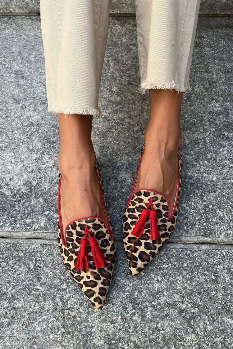 Leopard Print Faux Suede Tassels Decor Casual Pointy Flats