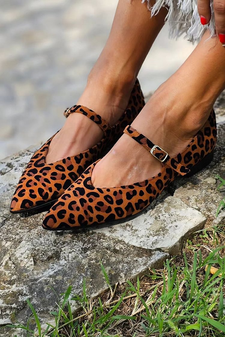 Zapatos planos marrones con punta puntiaguda, hebilla y tira en el empeine con estampado de leopardo [Pedido anticipado] 