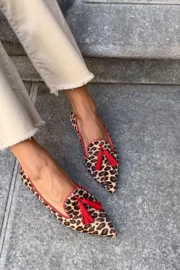 Leopard Print Faux Suede Tassels Decor Casual Pointy Flats