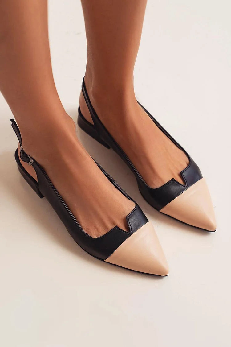 Colorblock Cut Out Buckle Slingback Strap Pointy Toe Flats