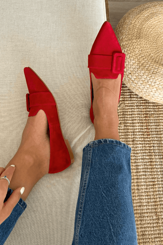 Pointy Toe Buckled Suede Flats