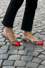 Zebra