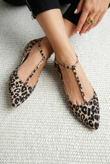 Leopardo