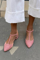 Rosa polverosa