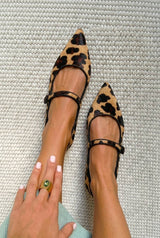 Leopardo
