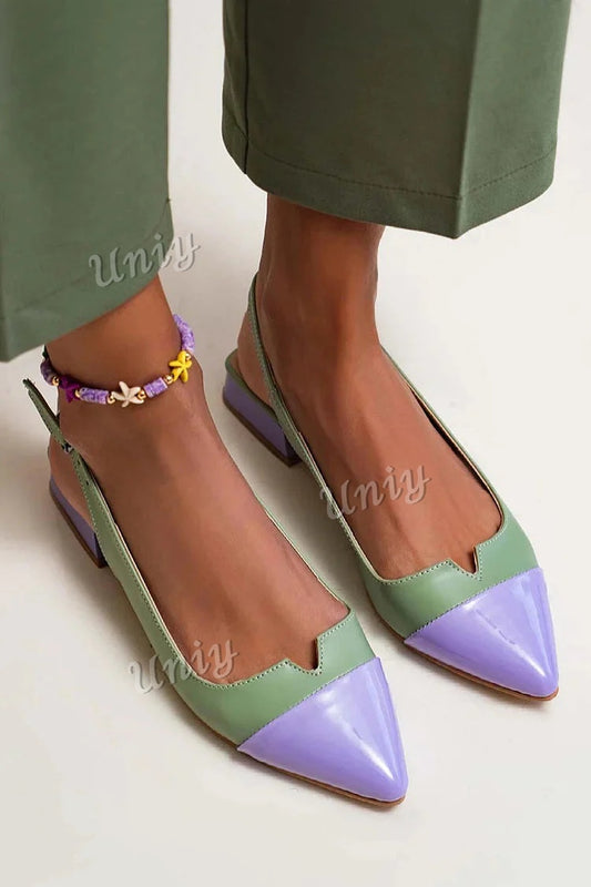 Colorblock Cut Out Buckle Slingback Strap Pointy Toe Flats